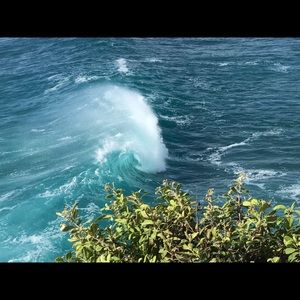 Meet your Posher, Ava